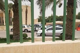 الصورة الصورة