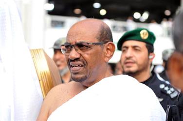 الصور الصور