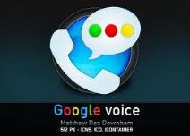 voice voice