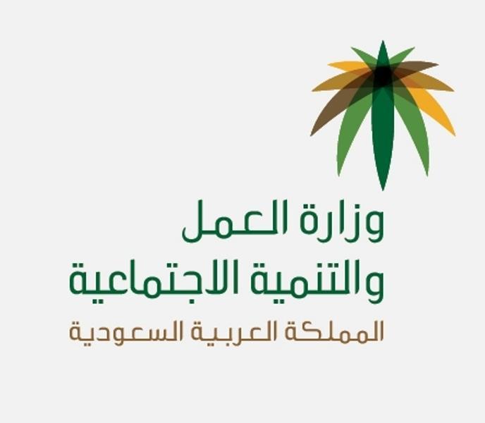 ارشيفية ارشيفية