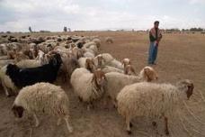 تعبيرية