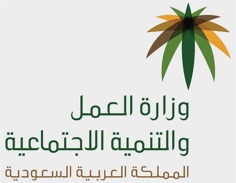 الصورة الصورة