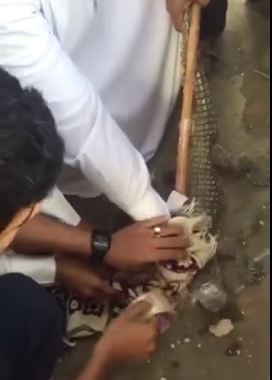 بالفيديو والصور ?الدفاع المدني? يمسك