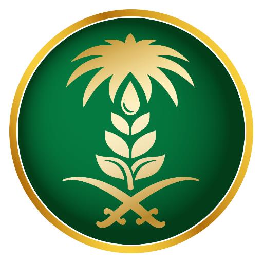 ارشيفية ارشيفية