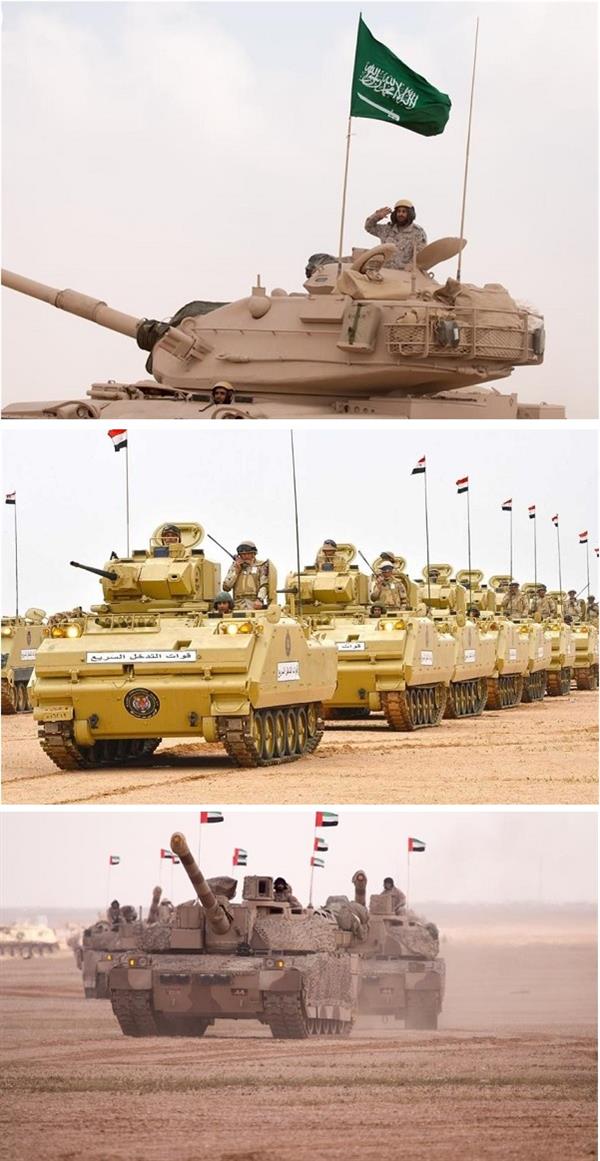 أبرز الصور المحلية خلال الأسبوع