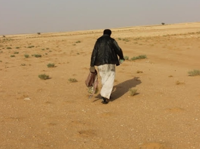 صورة صورة