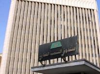 صندوق التنمية العقارية 