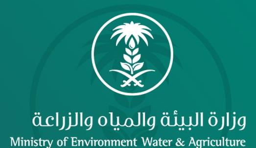 للسيدات فقط.. "البيئة" تعلن عن دورة تدريبية لرعاية الحيوانات الأليفة بالخرج للسيدات فقط.. "البيئة" تعلن عن دورة تدريبية لرعاية الحيوانات الأليفة بالخرج
