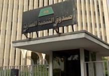 صندوق التنمية العقاري