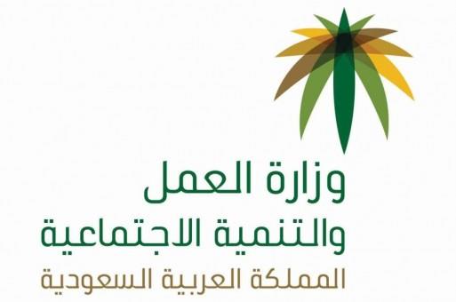 ارشيفية ارشيفية