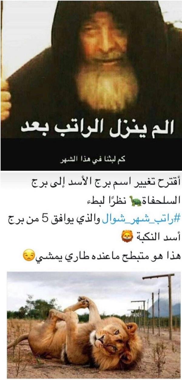 شاهد.. السعوديون يواجهون "راتب شوال" بالطرافة والكوميديا العبثية