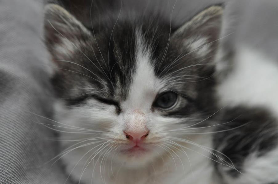 بالصور .. كيف تستخدم نظارة جوجل؟ بالصور .. كيف تستخدم نظارة جوجل؟