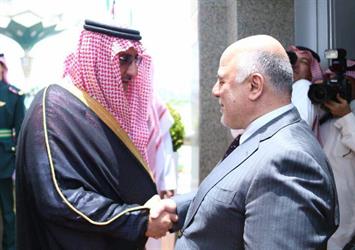 الصور الصور