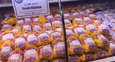 الصورة الصورة