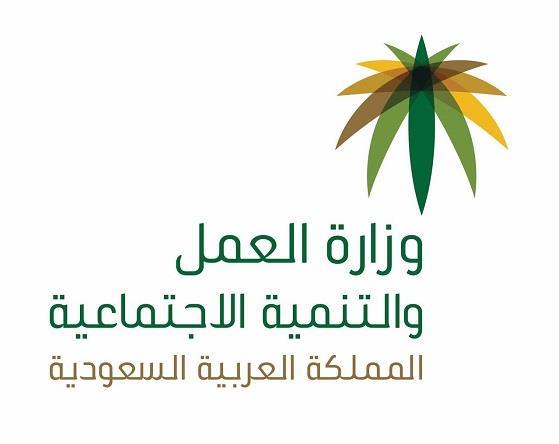 ارشيفية ارشيفية