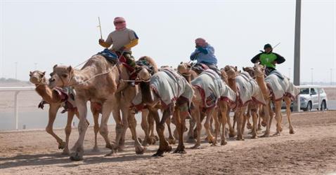 صورة صورة