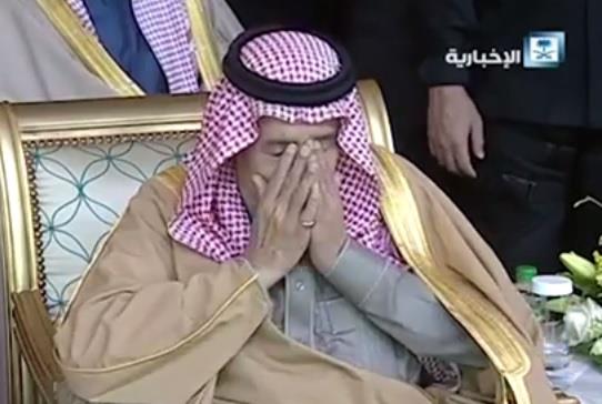 نقرتين لعرض الصورة في صفحة مستقلة