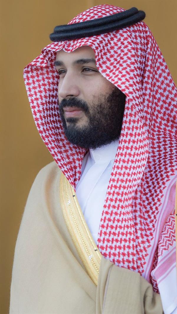 الامير محمد بن سلمان الامير محمد بن سلمان