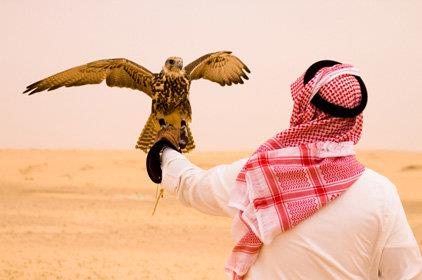 تعبيرية تعبيرية