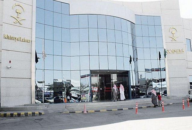 وزارة العمل والتنمية الاجتماعية وزارة العمل والتنمية الاجتماعية