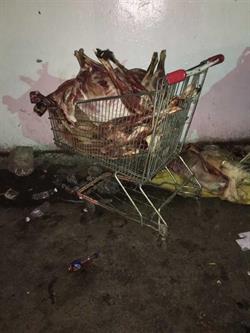 توضيحية توضيحية