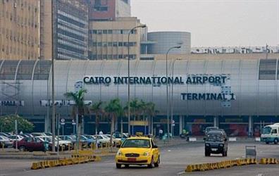 مصر: إحباط تهريب "ثعلب محنط" إلى السعودية مصر: إحباط تهريب "ثعلب محنط" إلى السعودية