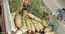 تعبيرية تعبيرية