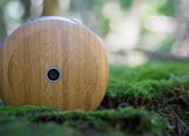 runcible runcible