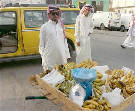 الصور الصور