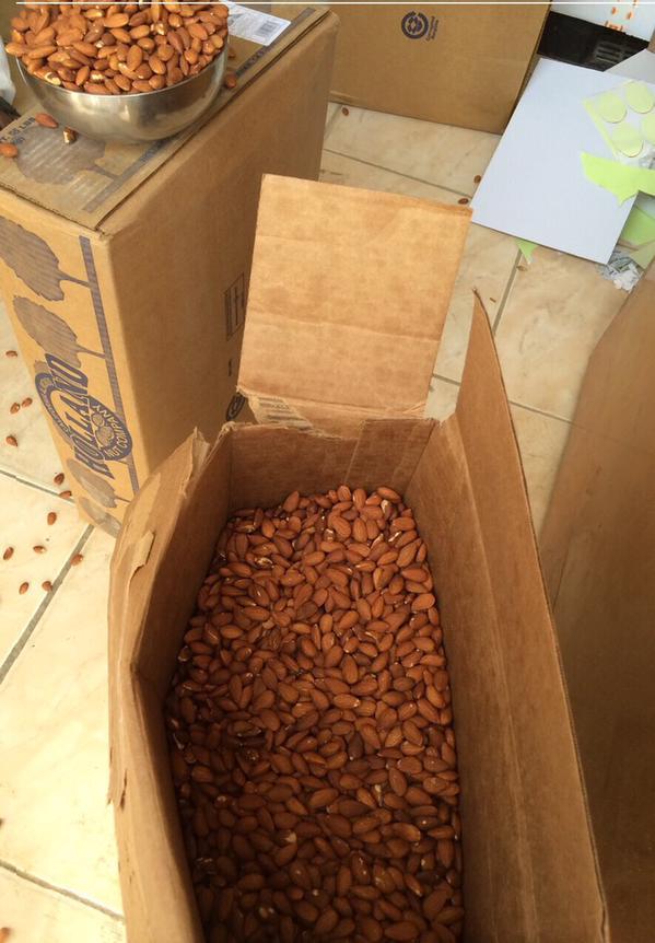 الموقع الذي ضبطته وزارة التجارة